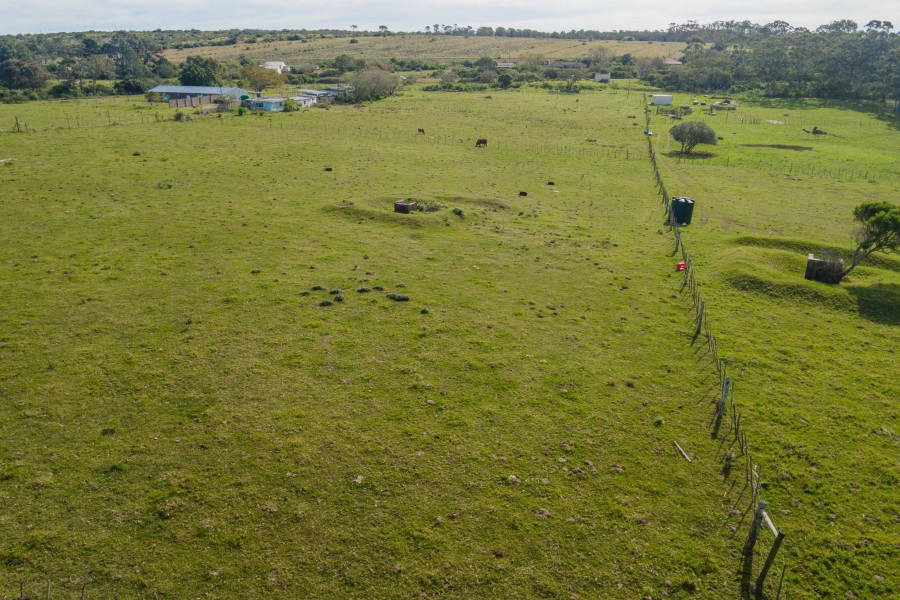 0 Bedroom Property for Sale in Alexandria Eastern Cape